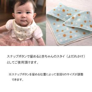 ご祝儀袋 オーガニックスタイ金封 3種 ご祝儀...の詳細画像5