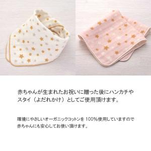 ご祝儀袋 オーガニックスタイ金封 3種 ご祝儀...の詳細画像4