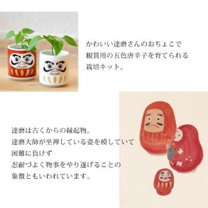お芽でたおちょこ 達磨 3色 赤 白 黄 縁起...の詳細画像1