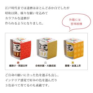 お芽でたおちょこ 達磨 3色 赤 白 黄 縁起...の詳細画像2