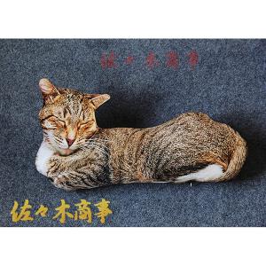 ぬいぐるみ 可愛い 猫 本物そっくり もふもふ ネコ 抱き枕 ねこ おもちゃ 柔らかい 猫 縫い包み ネコ ぬいぐるみ ねこ 縫い包み 猫｜jinichirosasaki