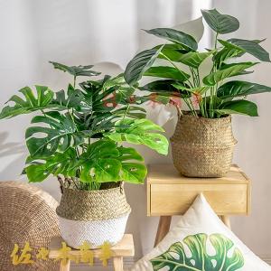 高さ約70cm 人工観葉植物 ポトス モンステ...の詳細画像1