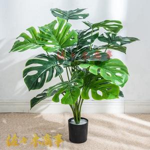 高さ約70cm 人工観葉植物 ポトス モンステ...の詳細画像2