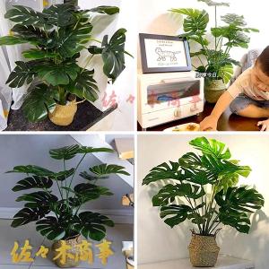 高さ約70cm 人工観葉植物 ポトス モンステ...の詳細画像4
