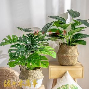 高さ約70cm 人工観葉植物 ポトス モンステ...の詳細画像5