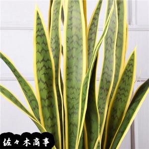 人工観葉植物 鉢植え サンスベリア大型 フェイ...の詳細画像4
