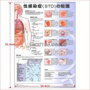 人体図 女性 医学 薬学 看護関連の本 の商品一覧 本 雑誌 コミック 通販 Yahoo ショッピング