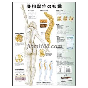 人体図 女性 医学 薬学 看護関連の本 の商品一覧 本 雑誌 コミック 通販 Yahoo ショッピング