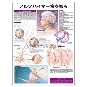 骨格」医学ポスター 立体ポスター B2サイズ 人体解剖学図ポスター 医学