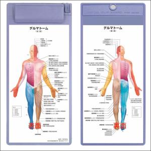 人体解剖学 本 臨床看護 専門の本 の商品一覧 医学 薬学 看護 本 雑誌 コミック 通販 Yahoo ショッピング