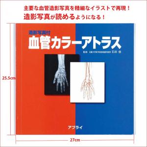 「造影写真付 血管カラーアトラス」解剖学図鑑 医学書籍｜jintan-100