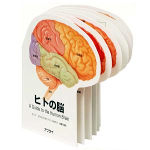 「ヒトの脳」型抜き絵本 疾患説明用絵本 医学絵本｜jintan-100