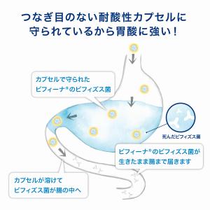 【セットで2,936円お得!】【森下仁丹公式】...の詳細画像3