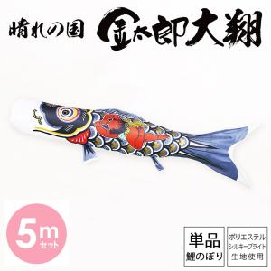 単品こいのぼり☆寿光鯉☆金太郎付黒6m鯉のぼり : 節句人形