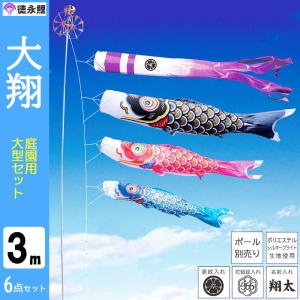 こいのぼり 旭天竜 鯉のぼり 庭園用 1.5m6点 ガーデンセット