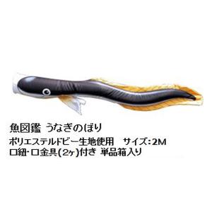 うなぎのぼり 魚図鑑の商品画像