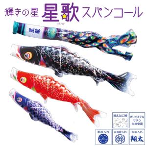 鯉のぼり 矢車セット ロイヤル矢車セット 3・4m鯉用 矢羽根直径50cm