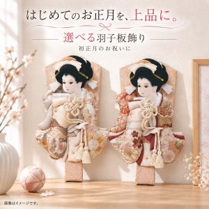 雛人形 ケース飾り ケース入り 小三五親王飾り 御雛 アクリルケース