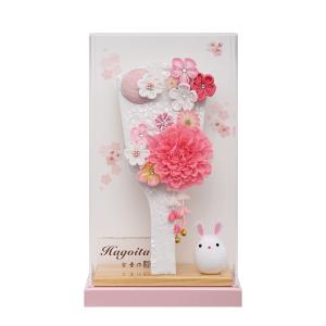 羽子板 お祝い 9号 (高さ約34cm) 美鈴 ケース飾り 名前入れ アクリル 木目 ナチュナル おしゃれ かわいい コンパクト モダン 舞桜 無垢 ピンクa 2026