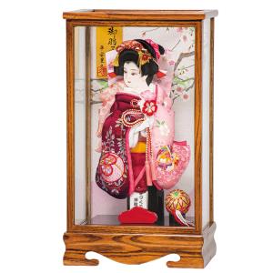 羽子板 お祝い 13号 初正月 羽子板飾り 新華陽 ケース飾り ガラス