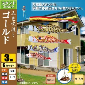 鯉のぼり 庭 園用ガーデンセット 3m7点セット 錦龍 こいのぼり 打込式