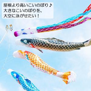 鯉のぼり こいのぼり 庭用 徳永鯉 晴れの国 ...の詳細画像3