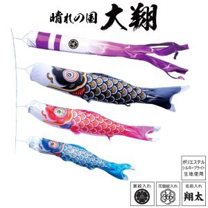 旭天竜 【100周年記念祭】こいのぼり 鯉のぼり 庭園用 1.5m6点