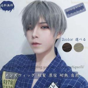 メンズウィッグ メンズかつら wig ショート イケメン ウィッグ うぃっぐ hair 自然 小顔効...