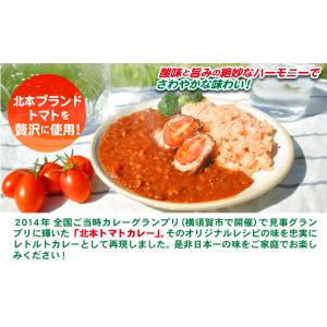 全国ご当地カレーグランプリ優勝 北本トマトカレ...の詳細画像1