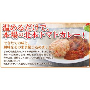 全国ご当地カレーグランプリ優勝 北本トマトカレ...の詳細画像2
