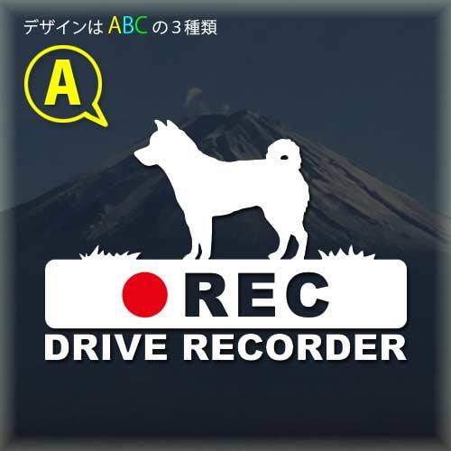 柴犬　ドライブレコーダー　録画中　ステッカー　あおり運転防止　ドラレコ