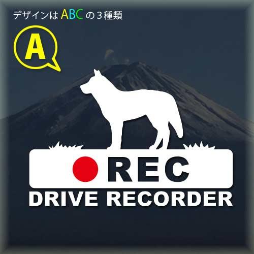 シベリアンハスキー　ドライブレコーダー　録画中　ステッカー　あおり運転防止　ドラレコ