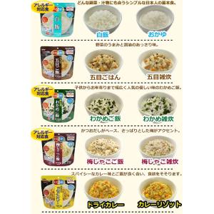 発熱剤つき サタケマジックライス 9種類セット...の詳細画像3