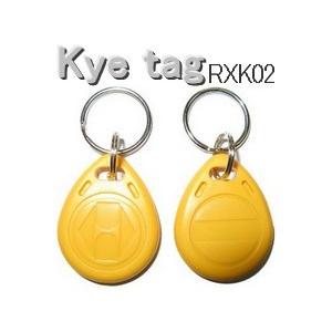 キーホルダータグ RXK02 EM4200 RFID ICタグ 周波数帯125KHz 数量1個｜jissoshop