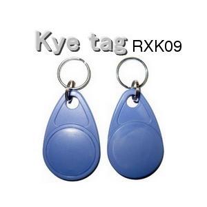 キーホルダータグ RXK09 I-CODE SLI RFID ICタグ 周波数帯13.56MHz 数...