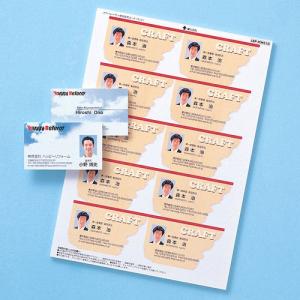 カラーレーザー用名刺（つやなし・マット） サンワサプライ[SAN] 【LBP-MMC10N】 爆買