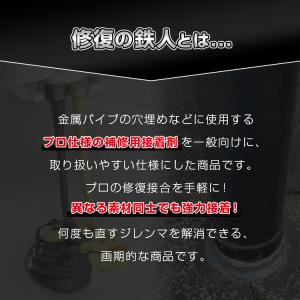 修復の鉄人 強硬化エポキシ系接着剤 2液混合タ...の詳細画像1