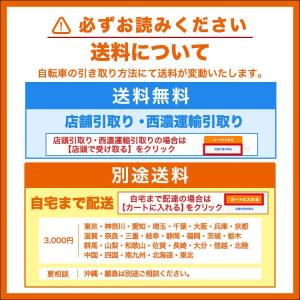 あさひ ドライド BEAT BAA 206 2...の詳細画像1