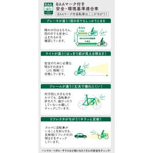 ＼期間限定セール/ フィデースDX マットネイ...の詳細画像5