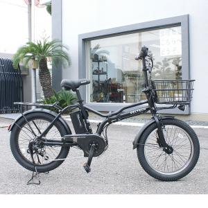 PELTECH ペルテック X-Adventu...の詳細画像1