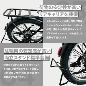 PELTECH ペルテック X-Adventu...の詳細画像4