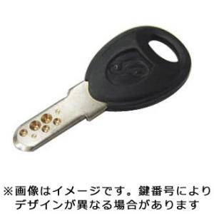 ((上場感謝祭_PT3％_4/26から))パナソニック 自転車用 スペアキー 2本セット/ Panasonic　カギ｜ダイワサイクル オンラインストア