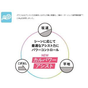 ((3/15は自転車本体ポイント+5%!))電...の詳細画像5