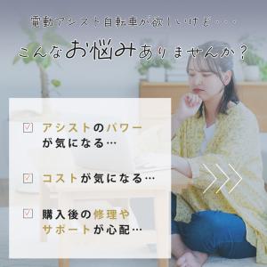 ((8/30限定自転車本体PT+5%))電動ア...の詳細画像3
