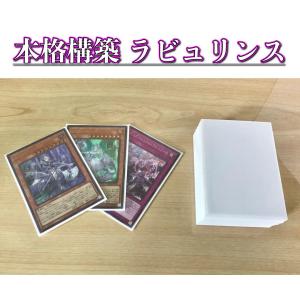 遊戯王 本格構築【ワイトデッキ】メイン&EX15&スリーブ : 自遊堂ヤフー