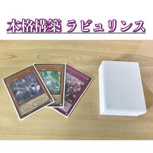 遊戯王 本格構築 【ラビュリンス】 デッキ＆エクストラ＆二重スリーブ