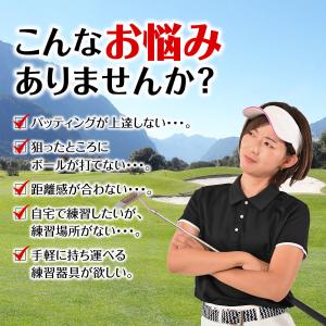 ゴルフ パター 練習 マット 自宅 器具 スリ...の詳細画像2