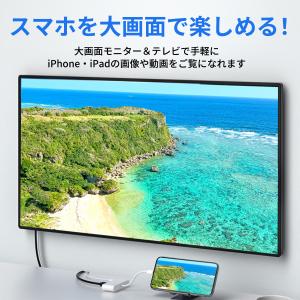 ランキング1位獲得 ミラーリングケーブル iP...の詳細画像4