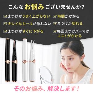 ホットビューラー まつ毛 まつげ つけまつげ ...の詳細画像3