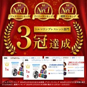 楽天ランキング3冠達成 静電気除去グッズ ブレ...の詳細画像1